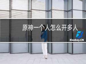 原神一个人怎么开多人