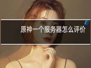 原神一个服务器怎么评价