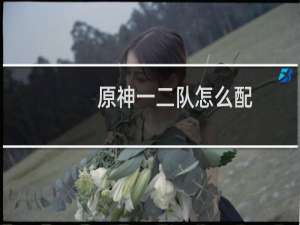 原神一二队怎么配