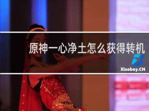 原神一心净土怎么获得转机