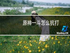 原神一斗怎么抗打