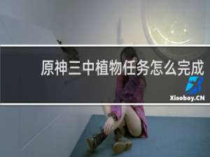 原神三中植物任务怎么完成