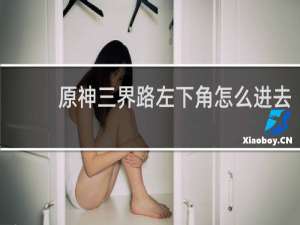 原神三界路左下角怎么进去