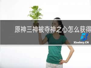 原神三神被夺神之心怎么获得