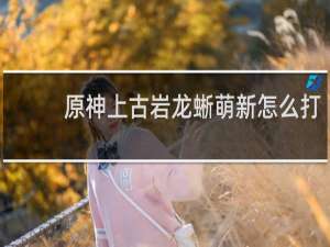 原神上古岩龙蜥萌新怎么打