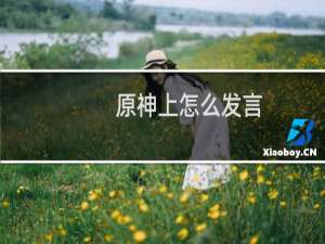 原神上怎么发言
