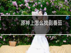 原神上怎么找到番茄