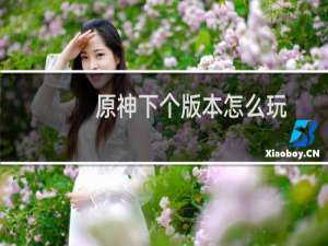 原神下个版本怎么玩