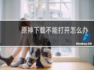 原神下载不能打开怎么办