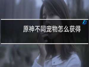 原神不同宠物怎么获得