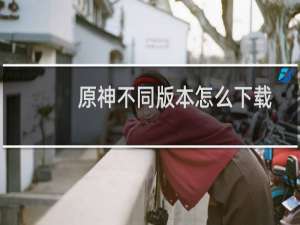 原神不同版本怎么下载