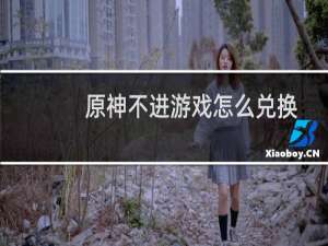 原神不进游戏怎么兑换