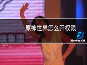 原神世界怎么开权限