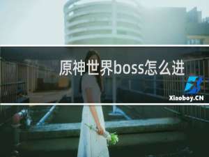 原神世界boss怎么进