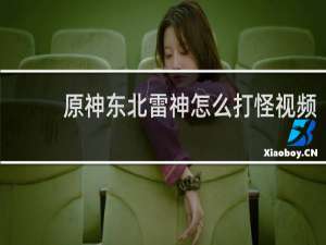 原神东北雷神怎么打怪视频