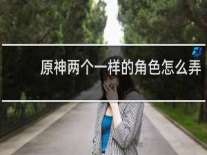 原神两个一样的角色怎么弄