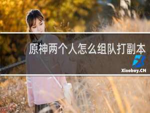 原神两个人怎么组队打副本