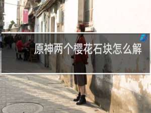 原神两个樱花石块怎么解