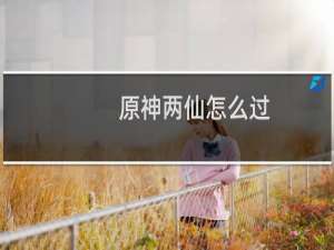 原神两仙怎么过