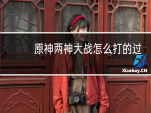 原神两神大战怎么打的过