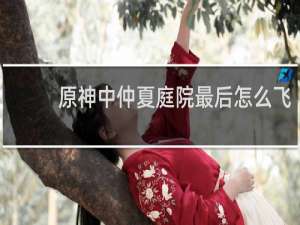原神中仲夏庭院最后怎么飞