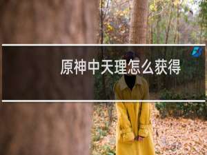 原神中天理怎么获得