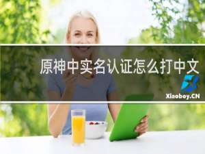 原神中实名认证怎么打中文