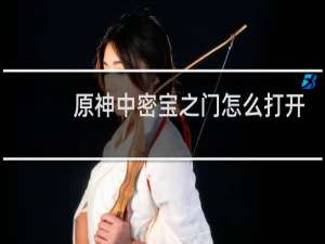 原神中密宝之门怎么打开