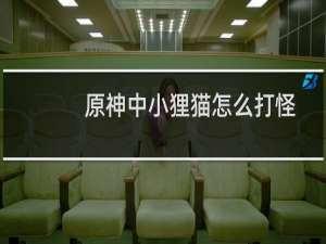 原神中小狸猫怎么打怪