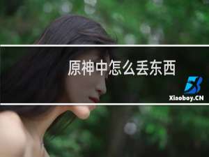 原神中怎么丢东西