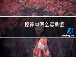 原神中怎么买鱼饵