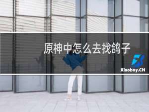 原神中怎么去找鸽子