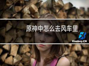 原神中怎么去风车里