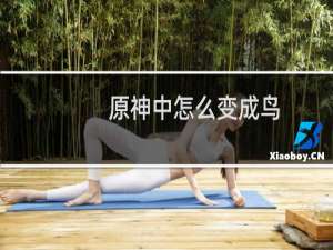 原神中怎么变成鸟