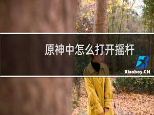 原神中怎么打开摇杆