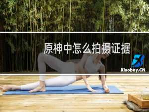 原神中怎么拍摄证据