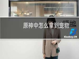 原神中怎么拿到宠物