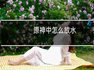 原神中怎么放水