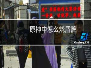 原神中怎么烧盾牌