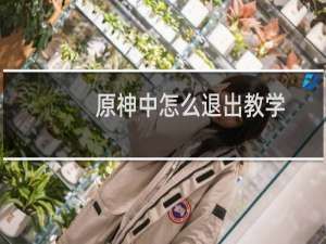 原神中怎么退出教学