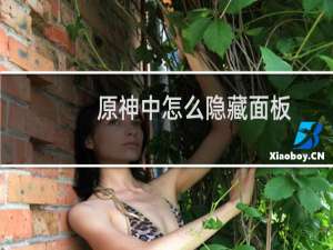 原神中怎么隐藏面板