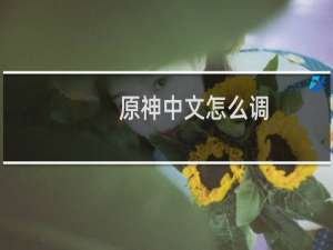 原神中文怎么调