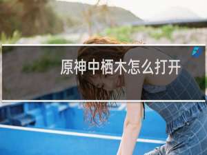 原神中栖木怎么打开