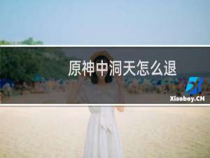 原神中洞天怎么退