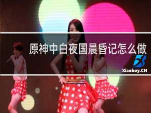 原神中白夜国晨昏记怎么做