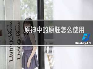 原神中的原胚怎么使用