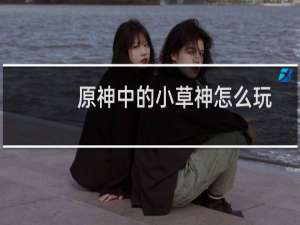 原神中的小草神怎么玩