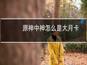 原神中神怎么是大月卡
