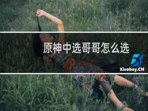 原神中选哥哥怎么选