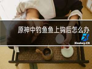 原神中钓鱼鱼上钩后怎么办